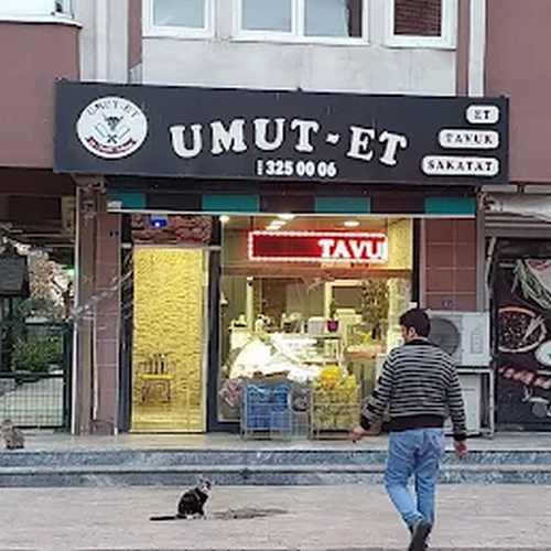 Umut et