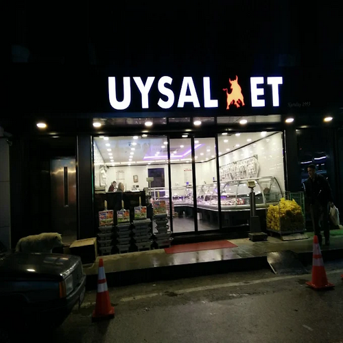 UYSAL ET