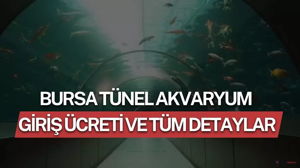 Bursa Tünel Akvaryum Giriş Ücreti 2026 ve Tüm Detaylar
