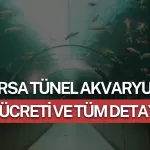 Bursa Tünel Akvaryum Giriş Ücreti 2026 ve Tüm Detaylar