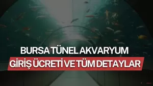 Bursa Tünel Akvaryum Giriş Ücreti 2026 ve Tüm Detaylar