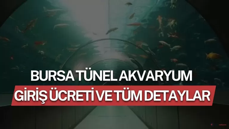 Bursa Tünel Akvaryum Giriş Ücreti 2026 ve Tüm Detaylar