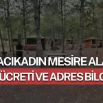 Hacıkadın Mesire Alanında Mangal Yasak Mı?