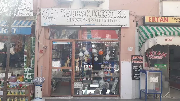 Yaprak Elektrik