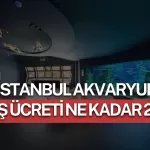 İstanbul Akvaryum Giriş Ücreti Ne Kadar? 2026 İstanbul Akvaryum Giriş Ücreti Ne Kadar? 2026