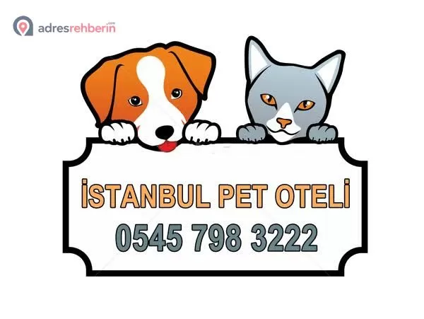 İstanbul Pet Oteli