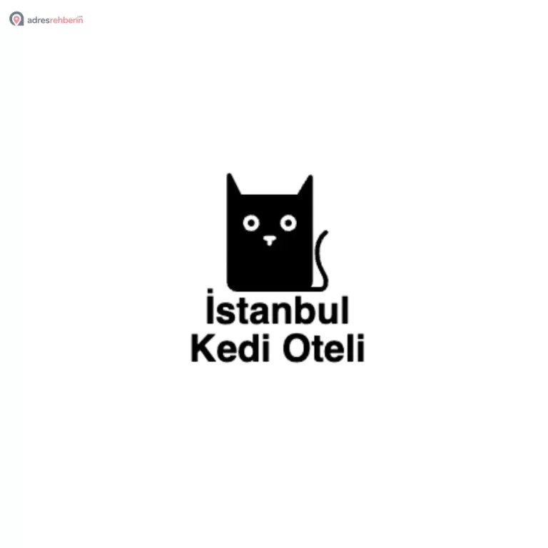 İstanbul Kedi Oteli