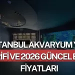 İstanbul Akvaryum’a Nasıl Gidilir? 2026 Güncel Bilet Fiyatları ve Gezi Rehberi