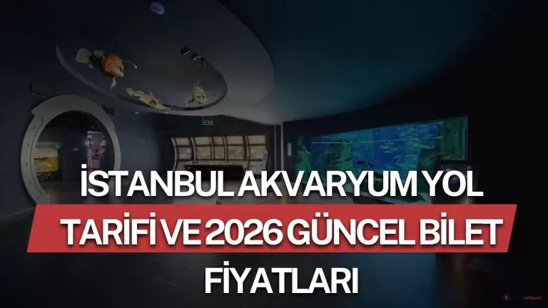 İstanbul Akvaryum’a Nasıl Gidilir? 2026 Güncel Bilet Fiyatları ve Gezi Rehberi